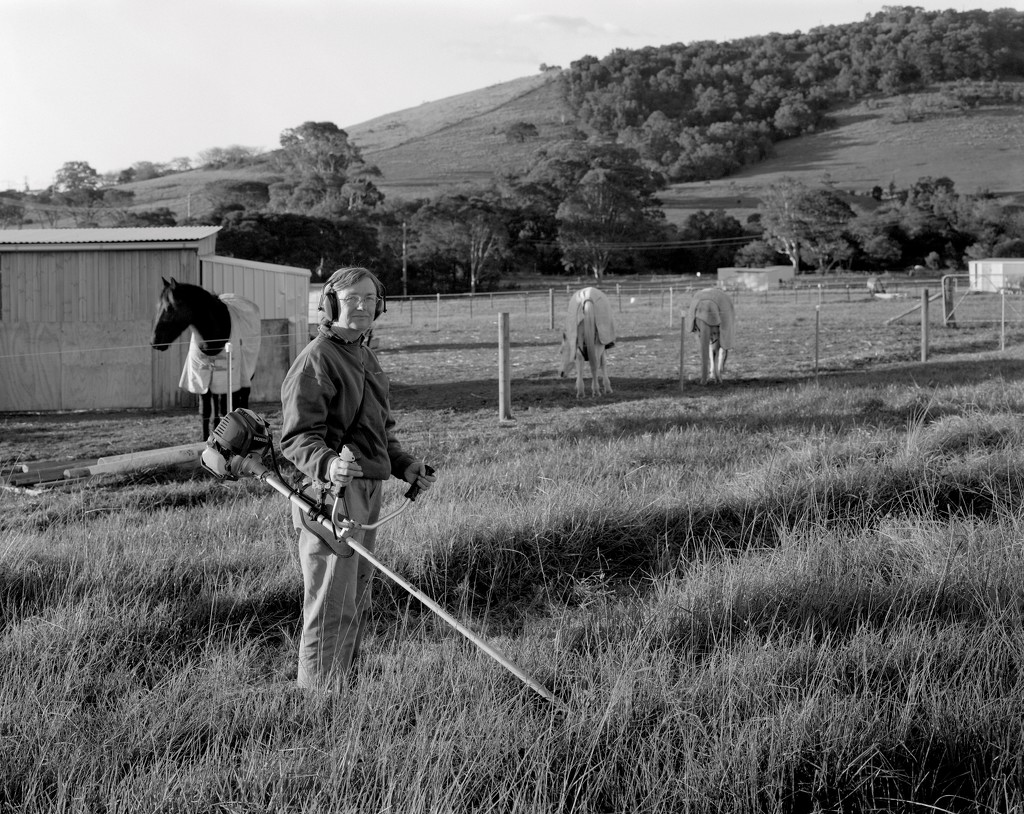 Making hay by peterdegraaff