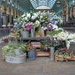 Pretty Flower Stall at Covent Gardens by mattjcuk
