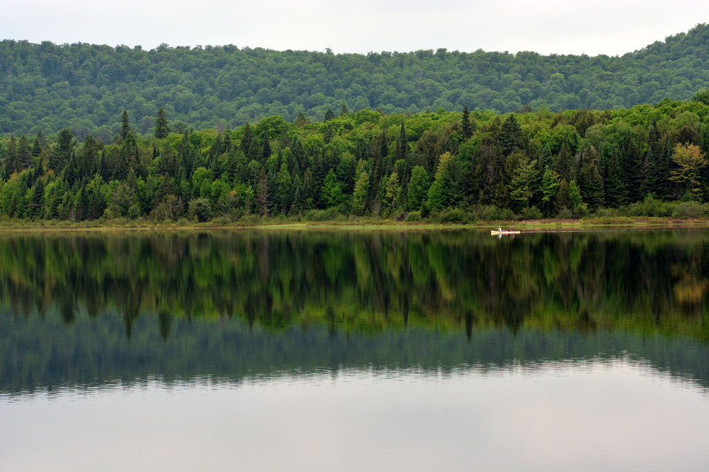 Reflections - Algonquin #6 by jayberg