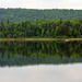Reflections - Algonquin #6 by jayberg