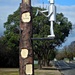 Tin Man on a Side Pole by leestevo