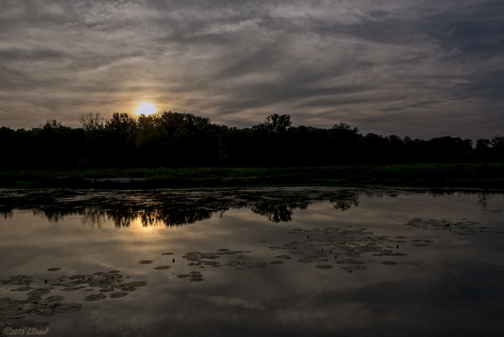 Evening Reflections by lstasel