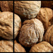 nuts! by summerfield