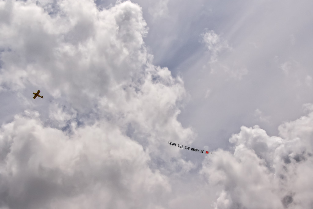Flying overhead by danette