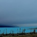 Lake Pukaki by maggiemae