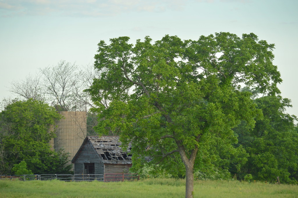 Kansas Farm Scene by kareenking