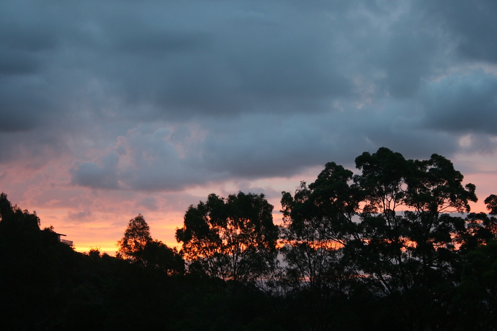 sunset by corymbia