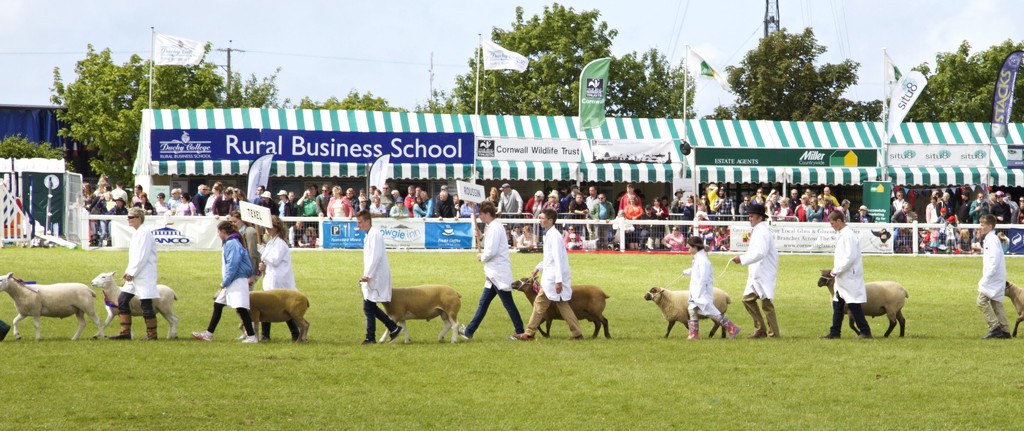 Royal Cornwall Show - Grand Parade by nicolaeastwood