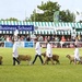 Royal Cornwall Show - Grand Parade by nicolaeastwood