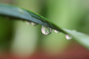 12th May 2015 - Fun with droplets