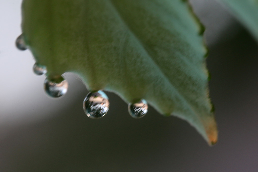 Fun with droplets by ingrid01