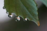 15th May 2015 - Fun with droplets