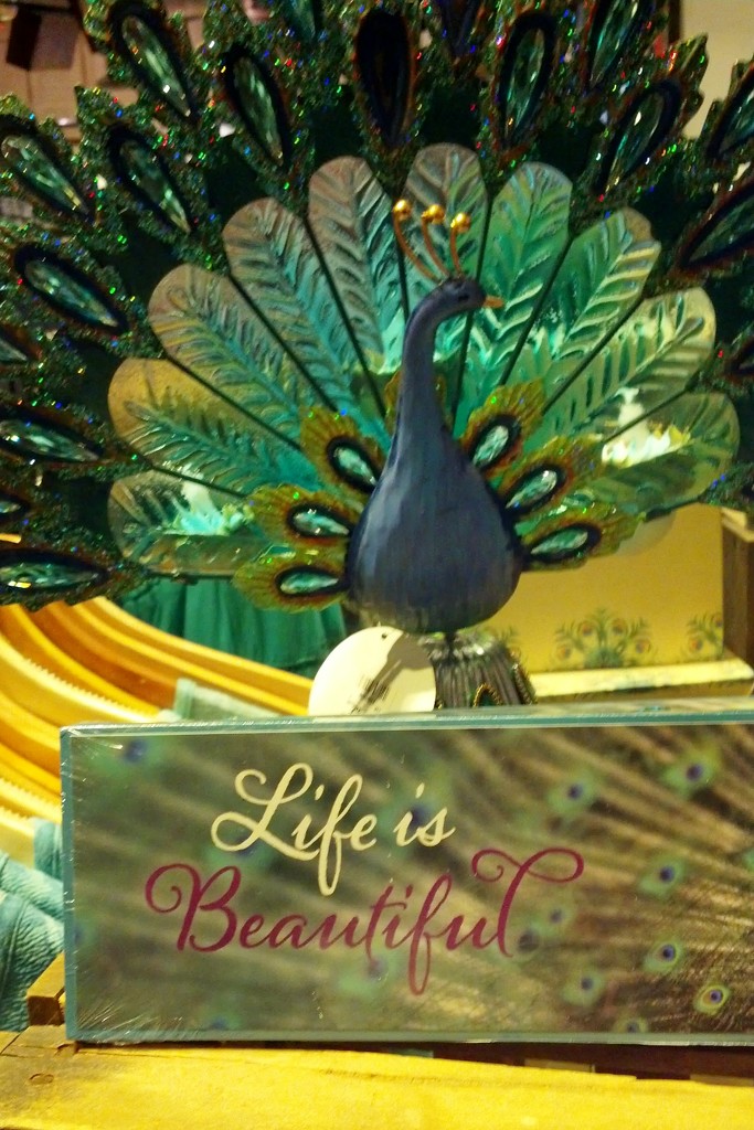 Life is Beautiful by jo38