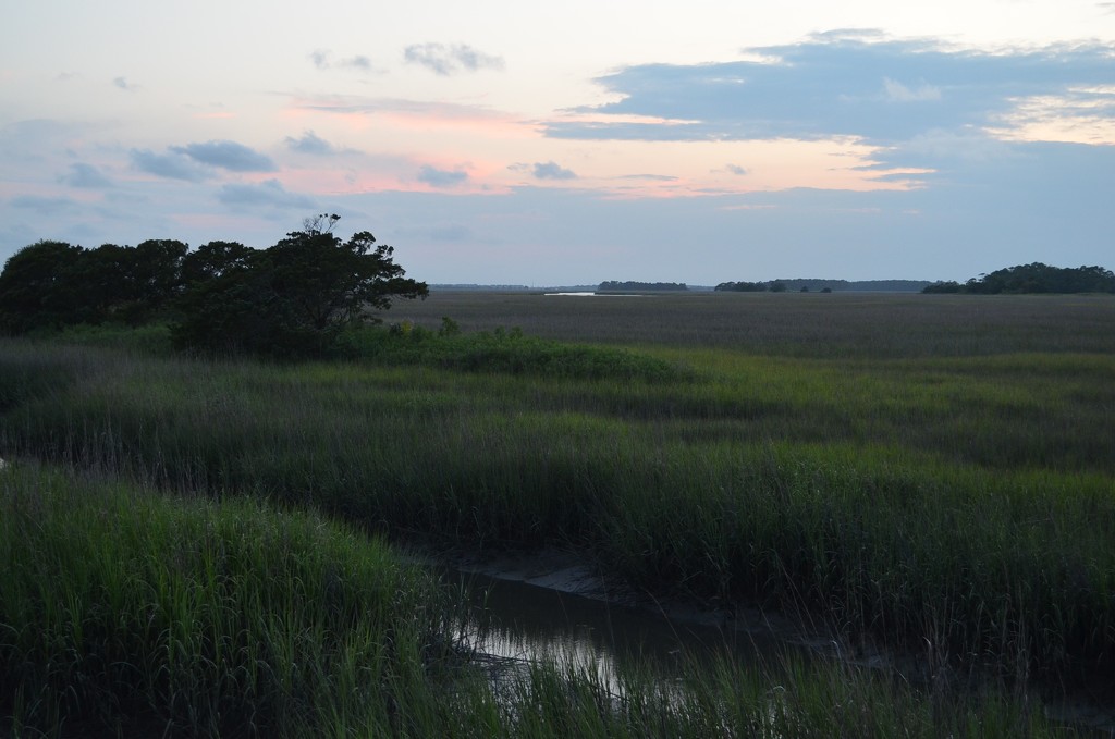 Marsh and tidal creek, Folly Island, South Carolina, looking toward the Folly River in the distance at sunset. by congaree