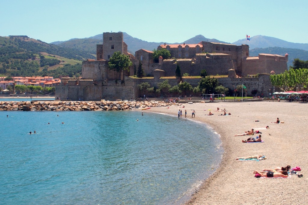 Chateau Royal, Collioure by laroque