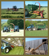 12th Jun 2015 - Silage time