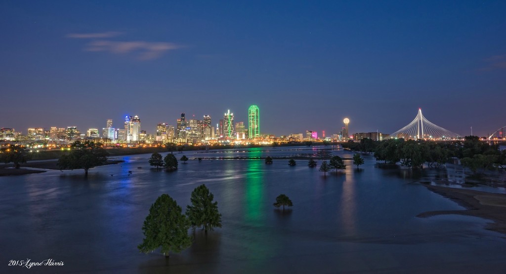 Dallas Skyline II by lynne5477