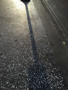 2nd Jun 2015 - Shadows in the Morning