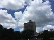 13th Jun 2015 - Summer skies and Francis Marion Hotel, downtown Charleston, SC