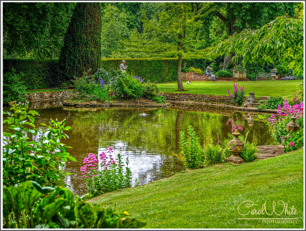 The Duck Pond Garden,Coton Manor Gardens by carolmw
