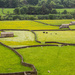 11th June 2015    - odd shaped fields by pamknowler