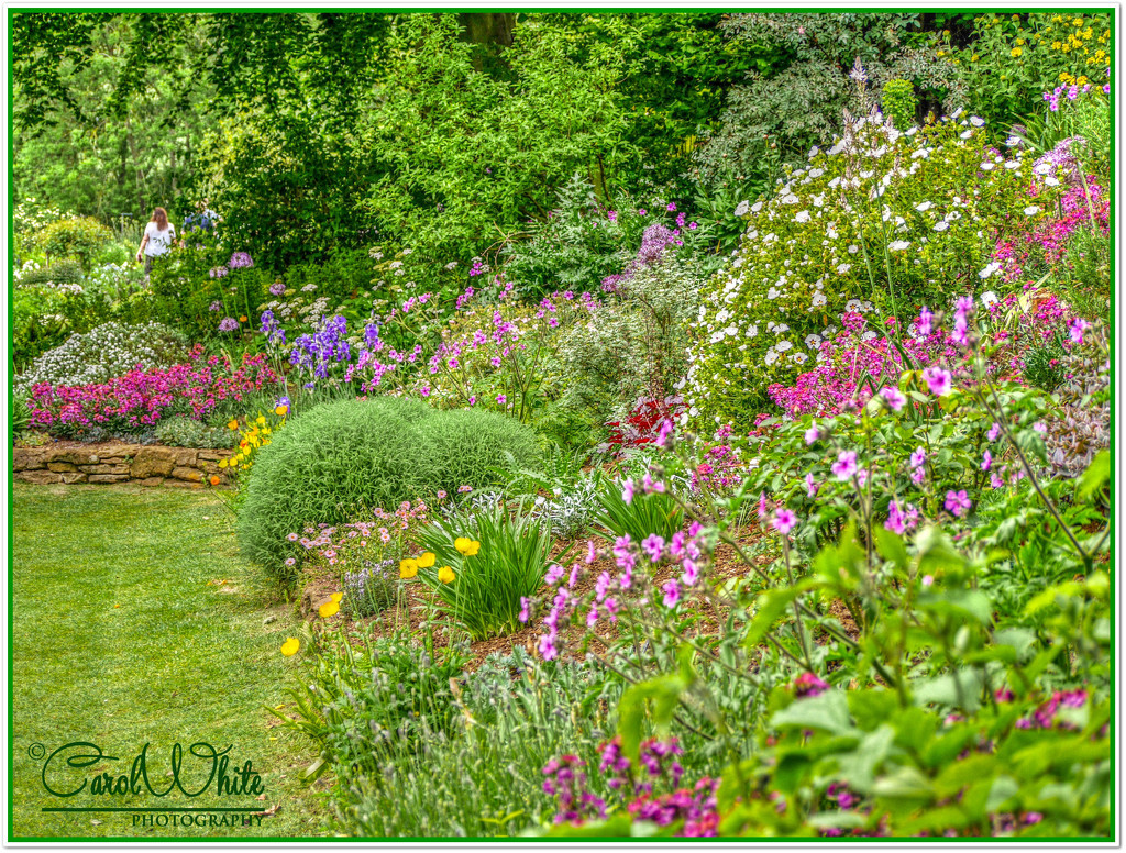 Floral Border, Coton Manor Gardens by carolmw