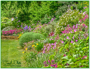 14th Jun 2015 - Floral Border, Coton Manor Gardens