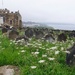 Church yard in Whitby by bella_ss