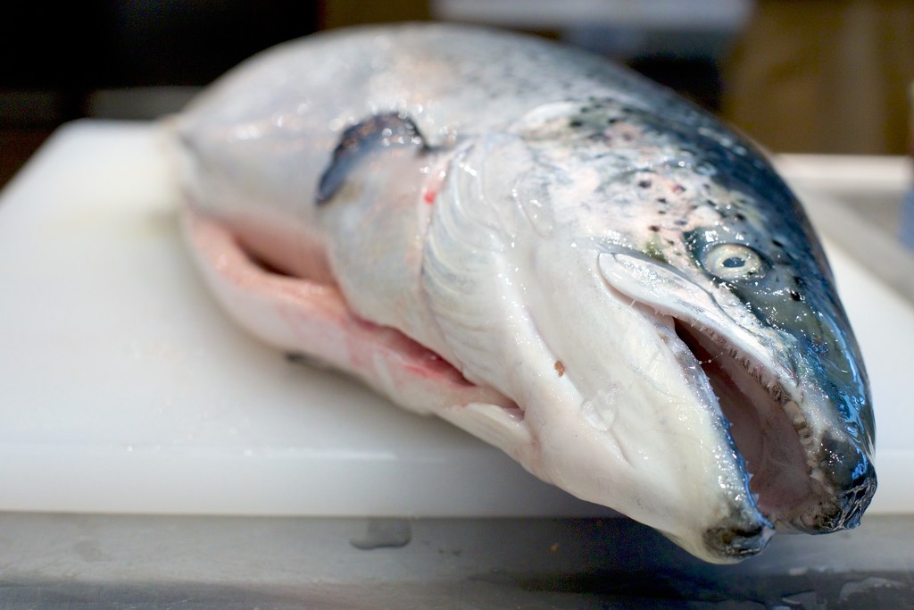 Preparing the Salmon by jyokota