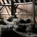 old hay loft by michael_ludgate