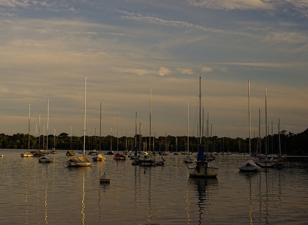 Evening at Lake Harriet  by tosee