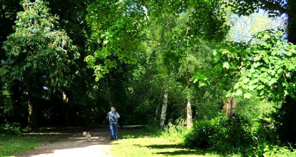 A shaded path by beryl