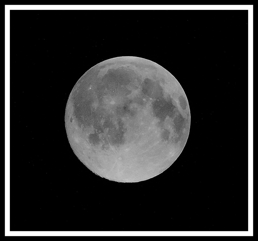 Full moon in black and white! by homeschoolmom