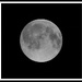 Full moon in black and white! by homeschoolmom