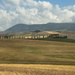 Typical Tuscan Landscape by lily