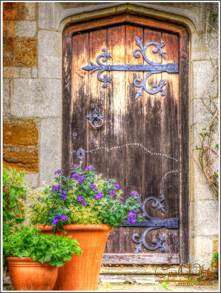 The Old Wooden Door by carolmw