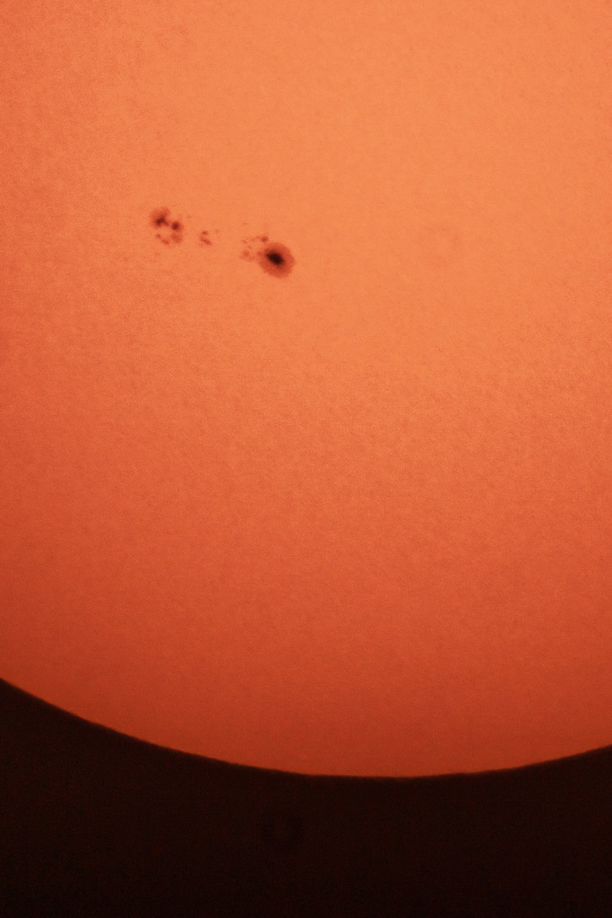 Sun Spot Protrait by rminer