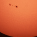 Sun Spot Protrait by rminer