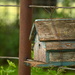 Bird House by kareenking