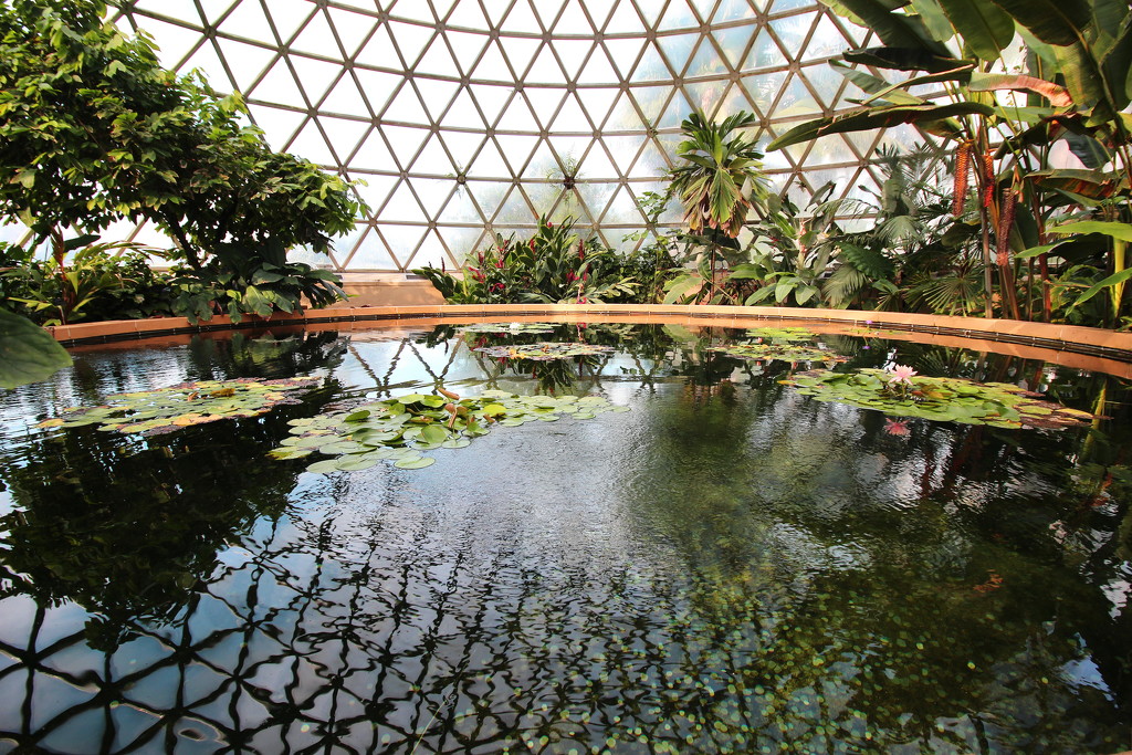 Tropical Dome - Wide Angle by terryliv