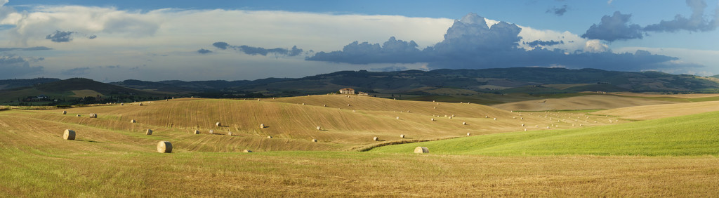 The Rolling Hills of Tuscany by lily