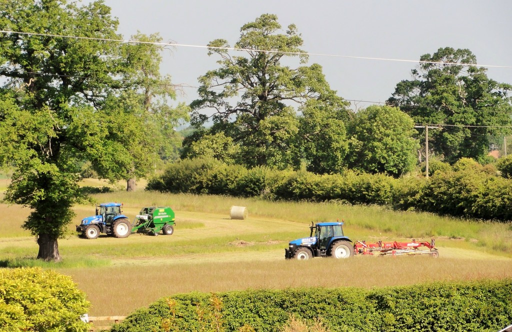 Haygate field -- Harvesting the silage  by beryl