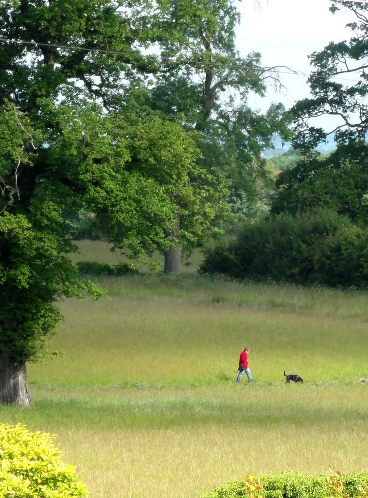 One man and his dog ! by beryl