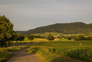 17th Jun 2015 - rural Germany #11