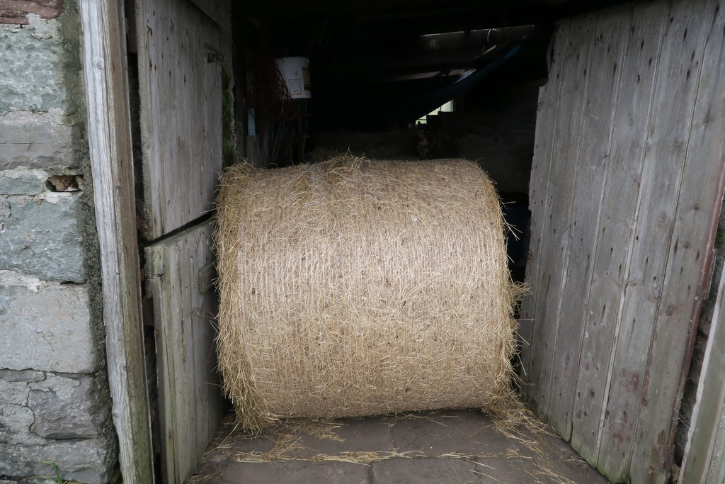 Hay Bale by lifeat60degrees