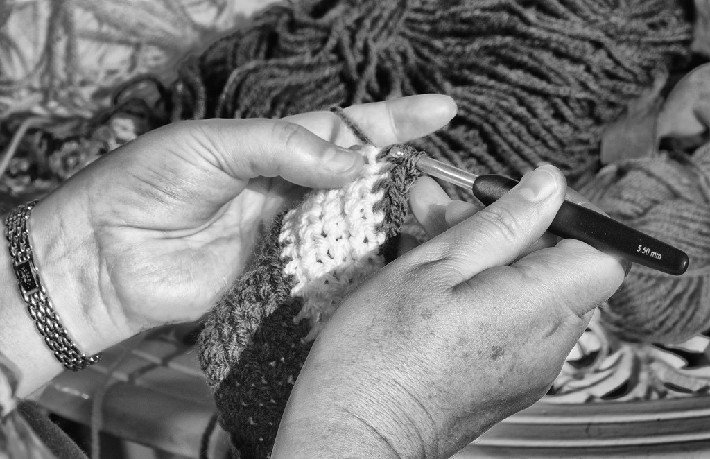 A Year of Days: Day 168 - Clare's Crochet Hands by vignouse