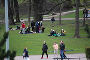 1st May 2015 - Picnicing in Kaisaniemi Park in Helsinki IMG_9430
