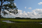 18th Jun 2015 - Peaceful marsh scene along Old Towne Creek, Charles Towne Landing State Historic Site, Charleston, SC