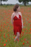 21st Jun 2015 - Lady in Red in a Norfolk Poppy Field