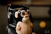 12th Nov 2010 - This monkey's no mug...